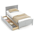 Twin Wooden Platform Bed Frame with Two Storage Drawers Slats Support Gray