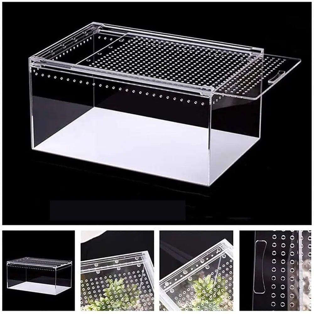Clear Glass Reptile Habitat, 20x15x10cm for Snakes, Turtles, and Lizards