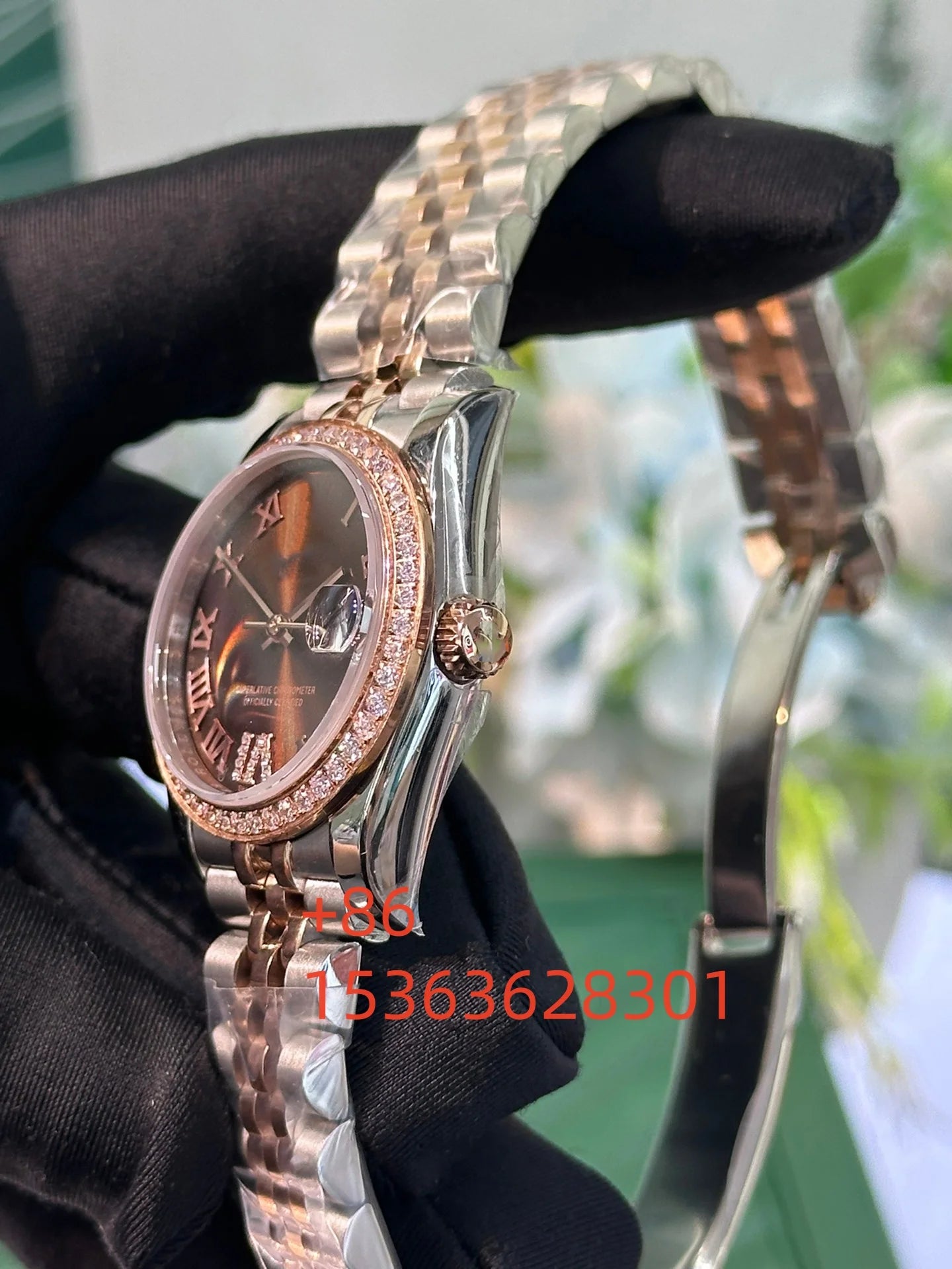 Women Luminous Sapphire Automatic Mechanical Watch 904L Stainless Steel Black Blue Customized