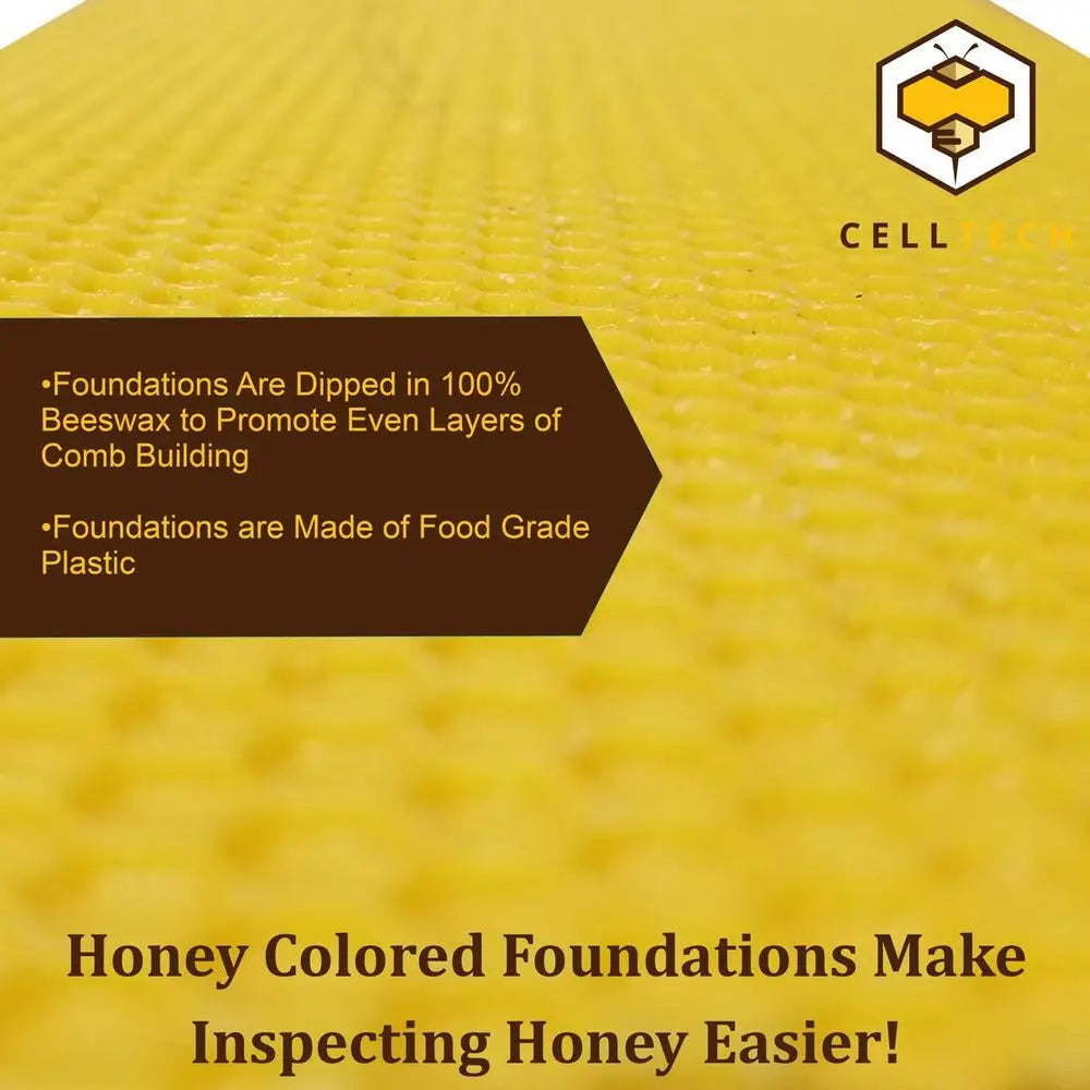 Langstroth Medium Beehive Frames with 40 Natural Wax-Coated Plastic Foundations