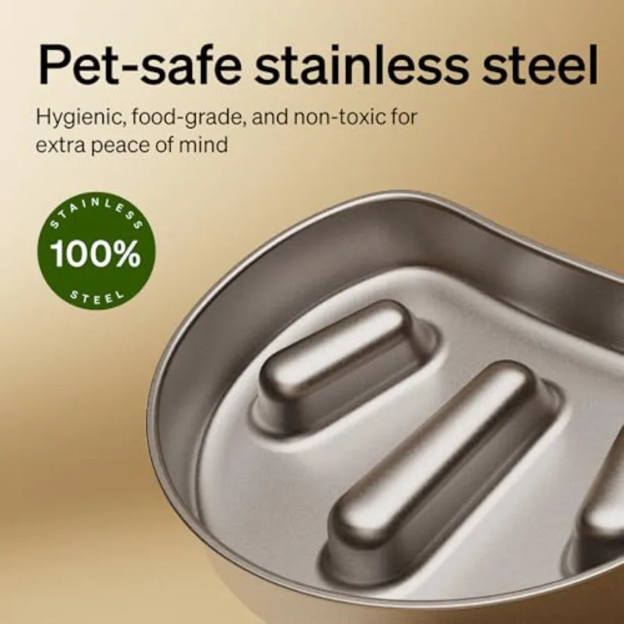 Automatic Cat Feeder with 1080P HD Camera and Night Vision for Small Pets Stainless Steel Slow Feeder Bowl in Silver 1.125 Cup