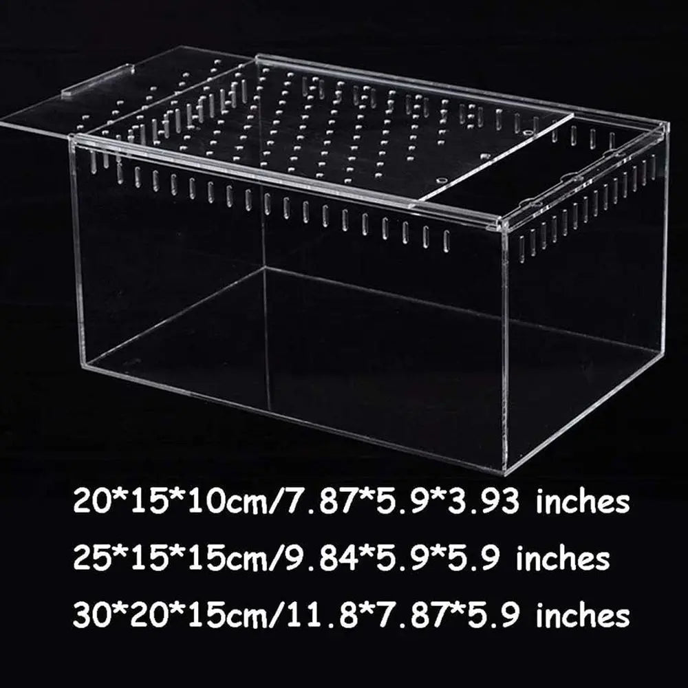 Clear Glass Reptile Habitat, 20x15x10cm for Snakes, Turtles, and Lizards