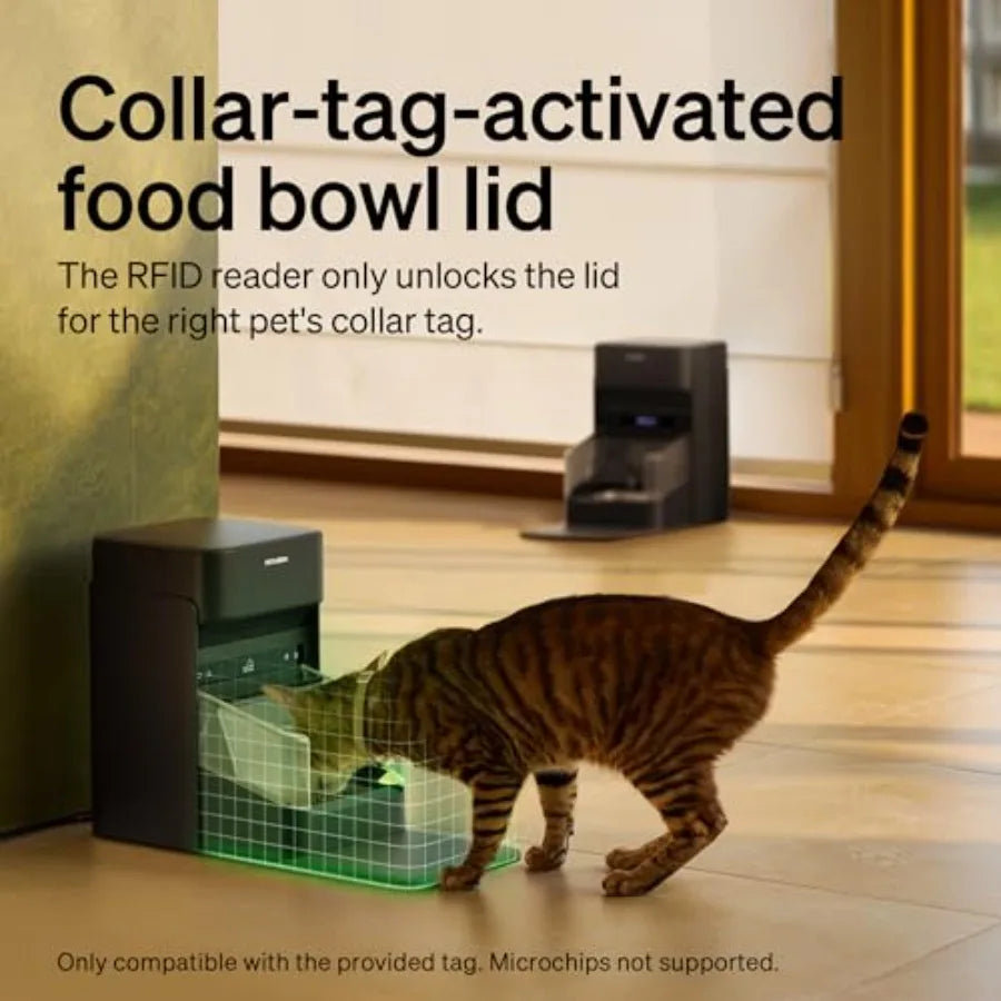 Wi-Fi Programmable RFID Cat Feeder with Collar Sensor for Personalized Meals 6-Pack Pet Food Desiccant Bag Automatic Food Dispe