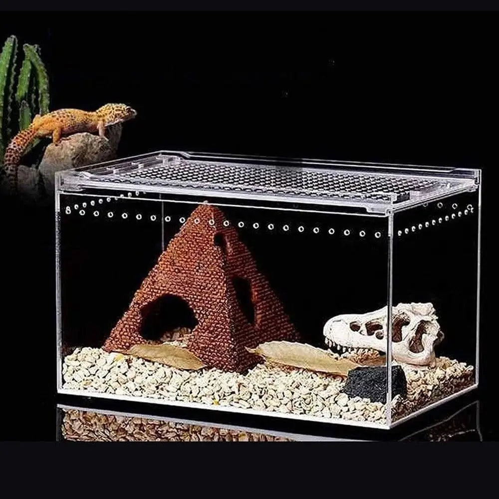 Clear Glass Reptile Habitat, 20x15x10cm for Snakes, Turtles, and Lizards