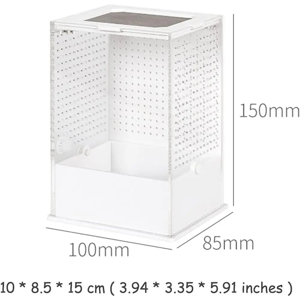 Glass Enclosure for Reptiles: Compact 10x8.5x15 cm Clear Terrarium for Lizards, Tortoises, and Snakes
