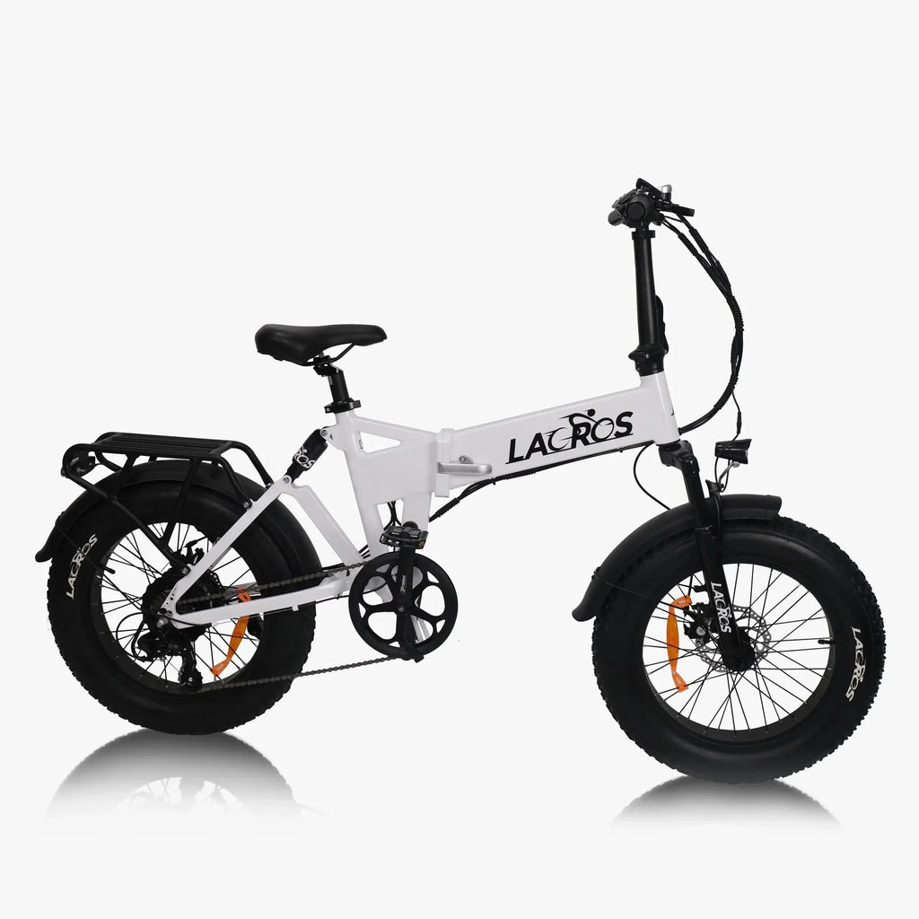Lacros Pinecone adult E-bike，500W city ebike，48V12.8AH ebike，20 Fat Tire E-Mountain bike