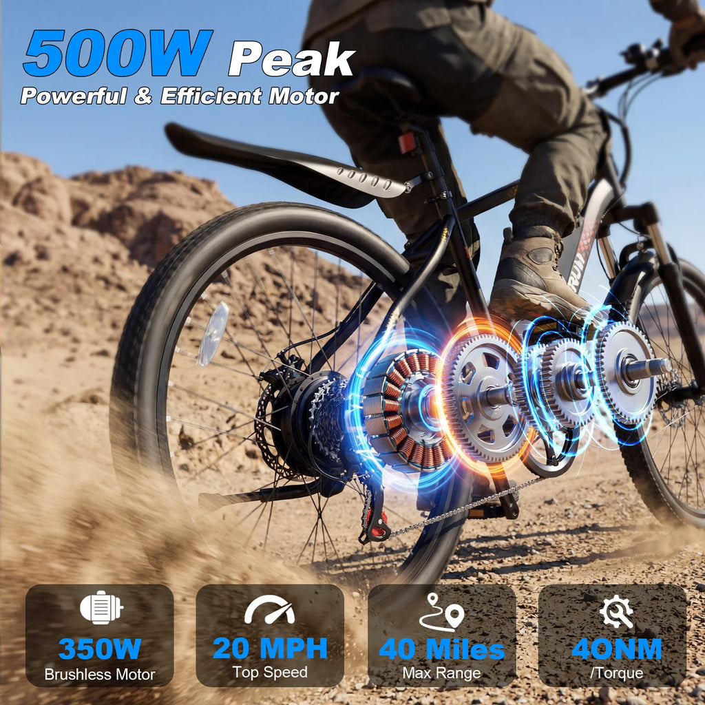 Varun M24-1 Adult Electric Bike, 500W Peak Power Electric Road Bike, 36V 7.8Ah Battery, 24-inch E-Bike, Max Speed 32km/h
