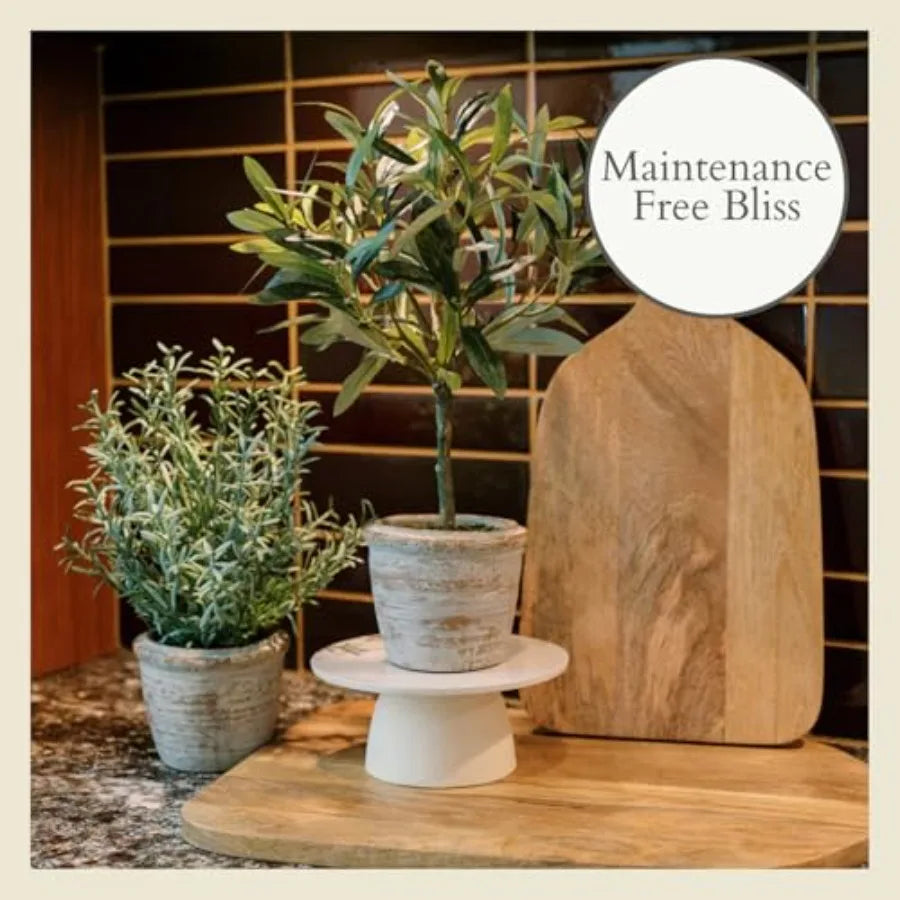 Faux Rosemary Plant Olive Topiary Set-of-2 Premium Artificial Indoor Plants in Grey with Lifelike Leaves for Realistic Natural