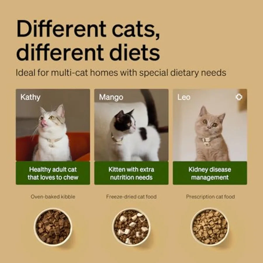 RFID Automatic Cat Feeder with Desiccant Bag Collar Sensor-Activated Meals for Multi-Pet Homes Color: White Material: BPA-Free