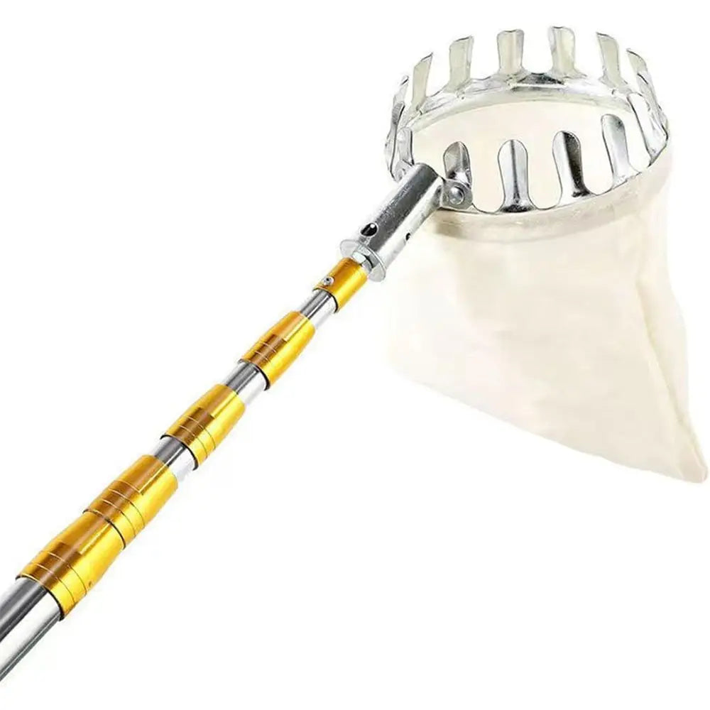 Telescoping Fruit Picker Pole with Basket, 13-33FT Adjustable, for Apples, Pears, Lemons, Coconuts, and More