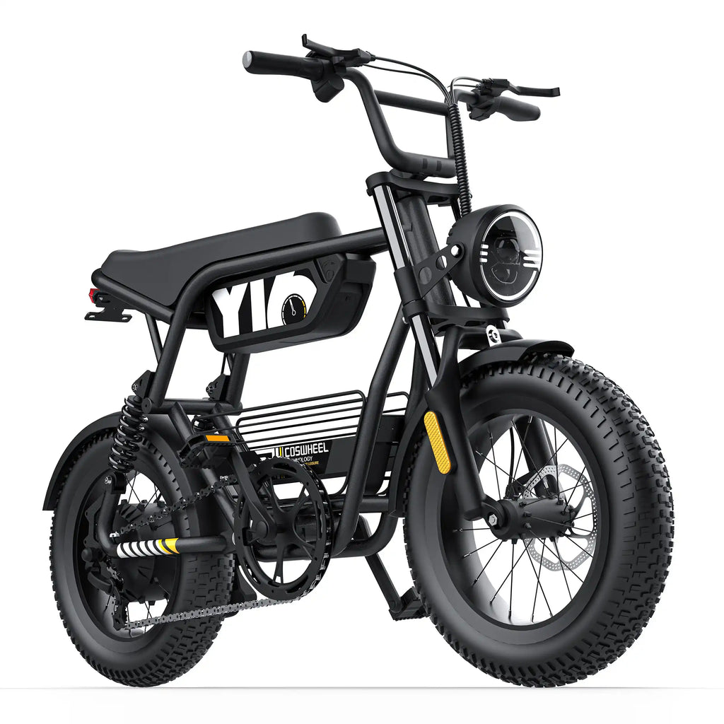 Coswheel Y16 adult E-bike 1000W 48V15Ah battery commute Electric Bike,16-inch Fat Tire E-Mountain bike