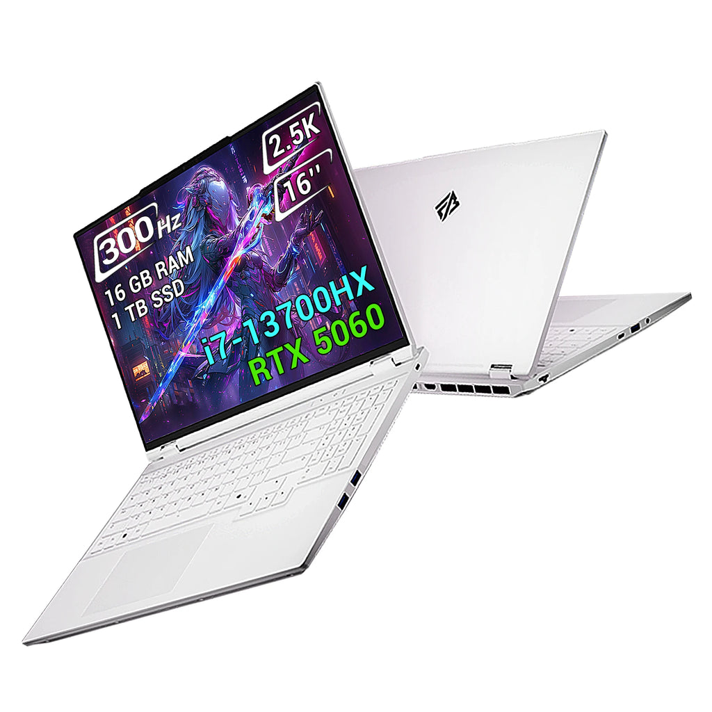 FIREBAT 16Pro Gaming Laptop 16Inch Intel i7 13700HX 16C/24T 5GHz CPU RTX 5060 2.5K 300Hz 16GB DDR5 1TB PCIe4.0 SSD Gamer Laptop