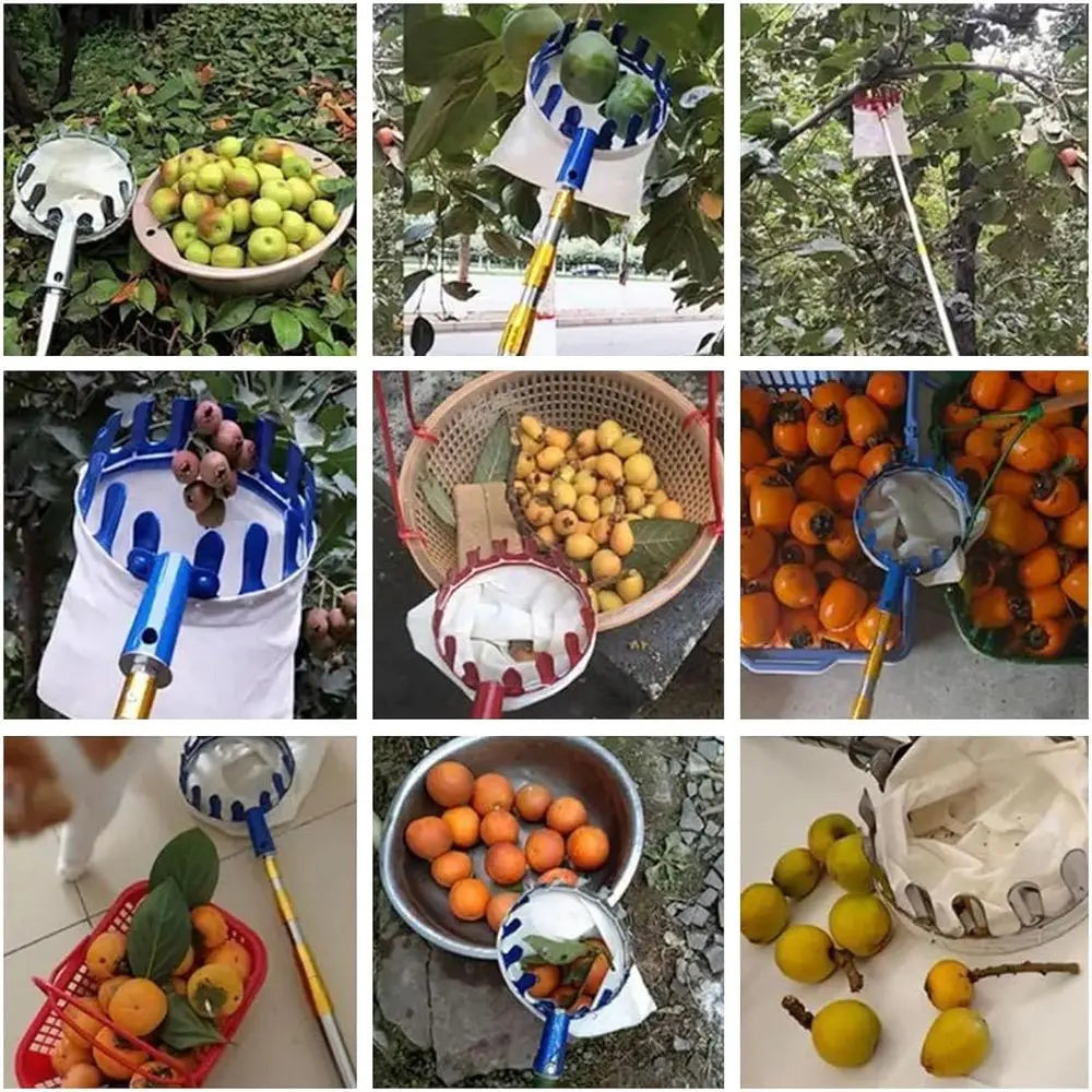 Telescoping Fruit Picker Pole with Basket, 13-33FT Adjustable, for Apples, Pears, Lemons, Coconuts, and More