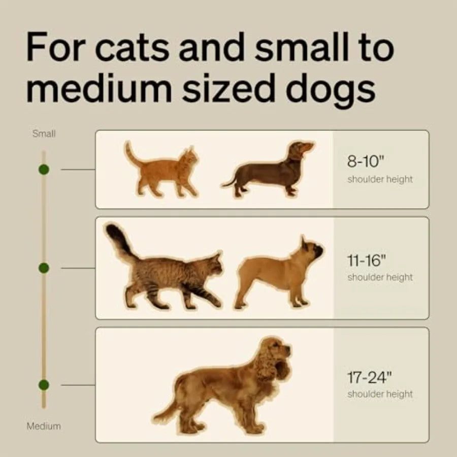 Automatic Cat Feeder with 1080P HD Camera and Night Vision for Small Pets Stainless Steel Slow Feeder Bowl in Silver 1.125 Cup