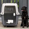 Cats & Rabbit Animal Carrier Travel Cage Box Length 33in/Width 21.6in/Height 25.2in with Handle & Metal Door Pet Carrier & Crate