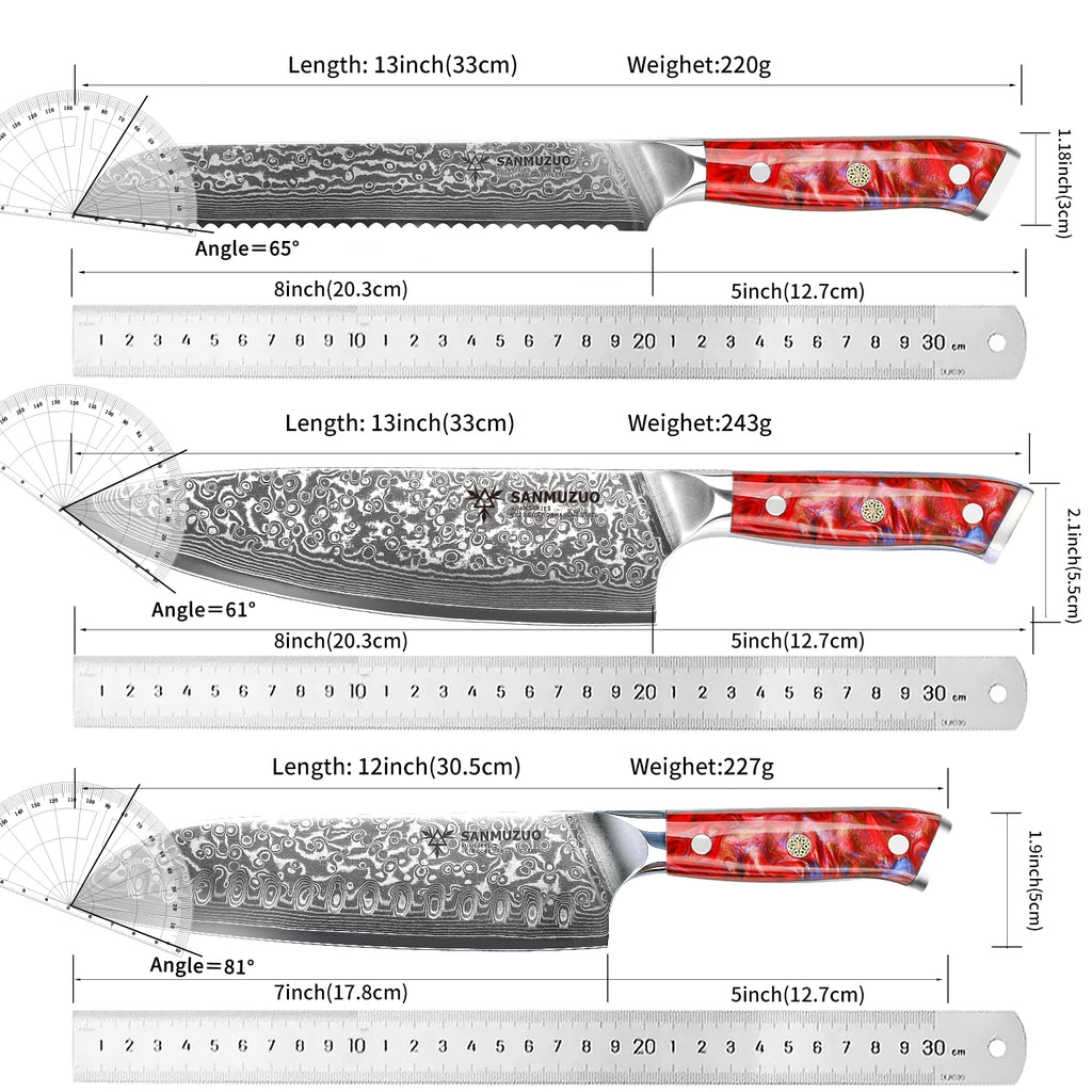 5PCS Kitchen Knife Set - Sharp Damascus Steel Knives with Resin Handle, Chef/Santoku/Bread/Paring/Utility Knife for Home Kitchen