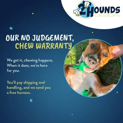 Adjustable Harness for Small/Med/Large Dogs – Easy Walks & Comfort  

SEO Title: Adjustable Dog Harness for Small, Medium & Larg