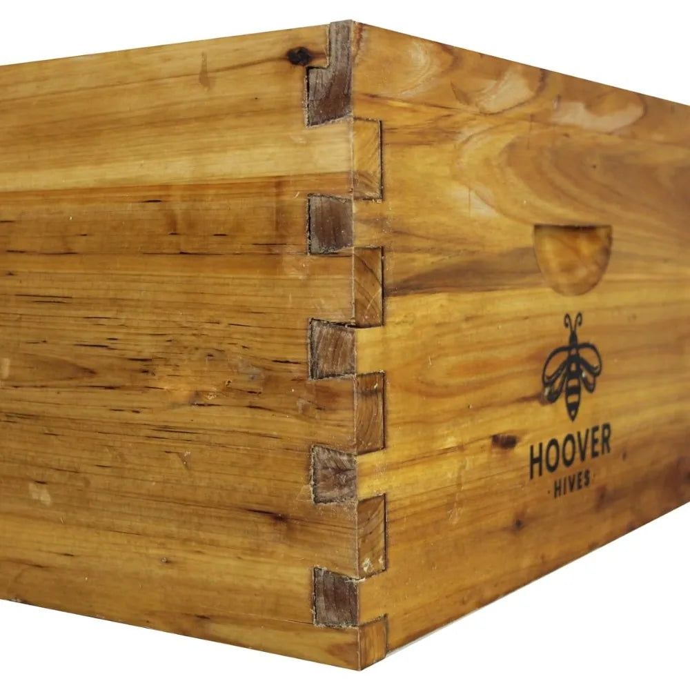 10 Frame Beehive - Starter Kit With 5 Frames