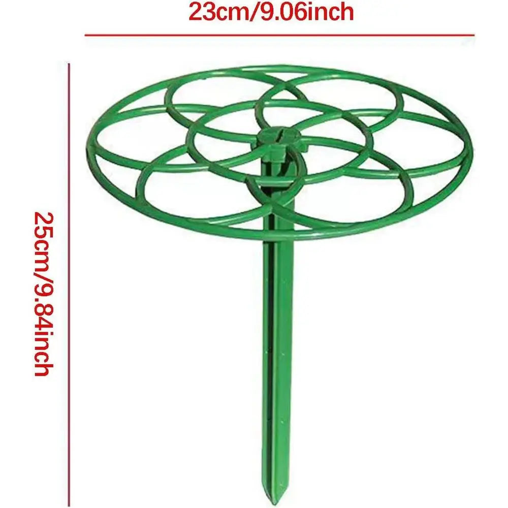 10-Piece Plant Support Grids for Indoor Gardening - Large Flower Cage Stakes for Roses and Home Plants