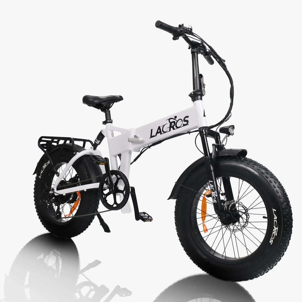 Lacros Pinecone adult E-bike，500W city ebike，48V12.8AH ebike，20 Fat Tire E-Mountain bike