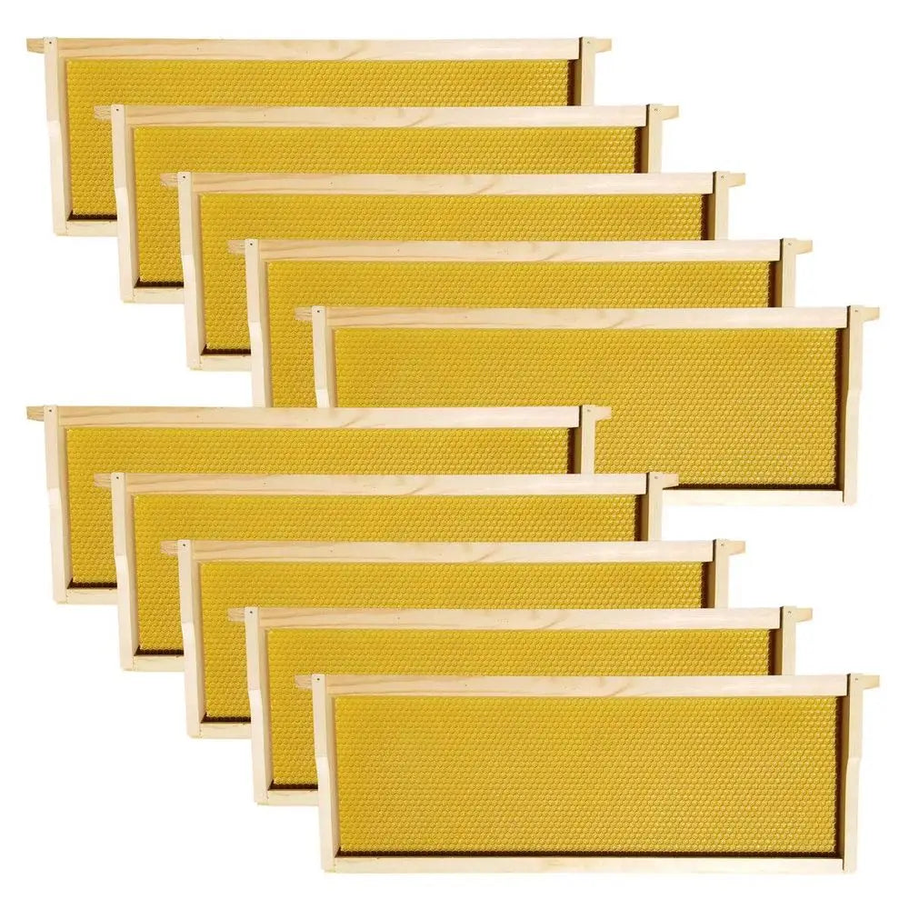 Langstroth Medium Beehive Frames with 40 Natural Wax-Coated Plastic Foundations