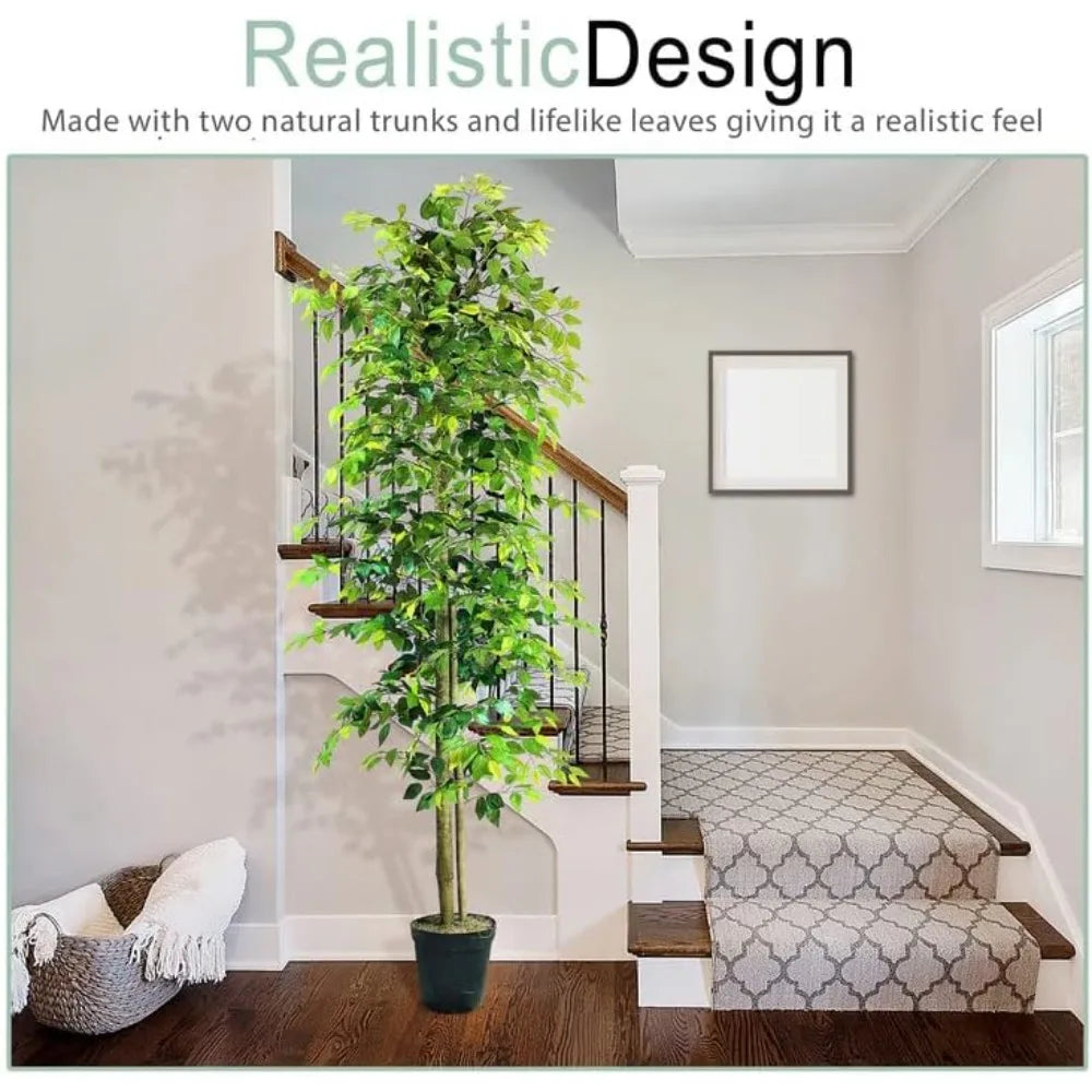 10ft Ficus Tree in Black Plastic Pot - Real Wood Trunk, No Maintenance Indoor Plant - Living Room, Home & Office Decor