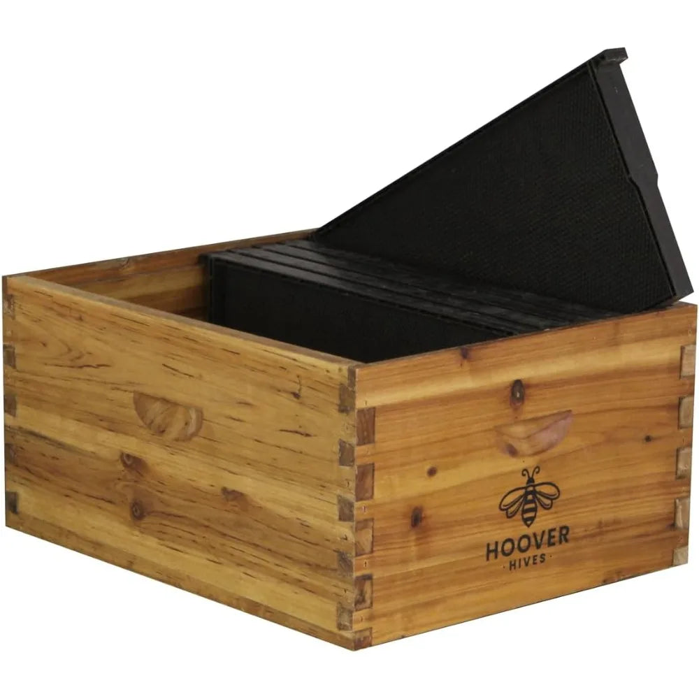 10 Frame Beehive - Starter Kit With 5 Frames