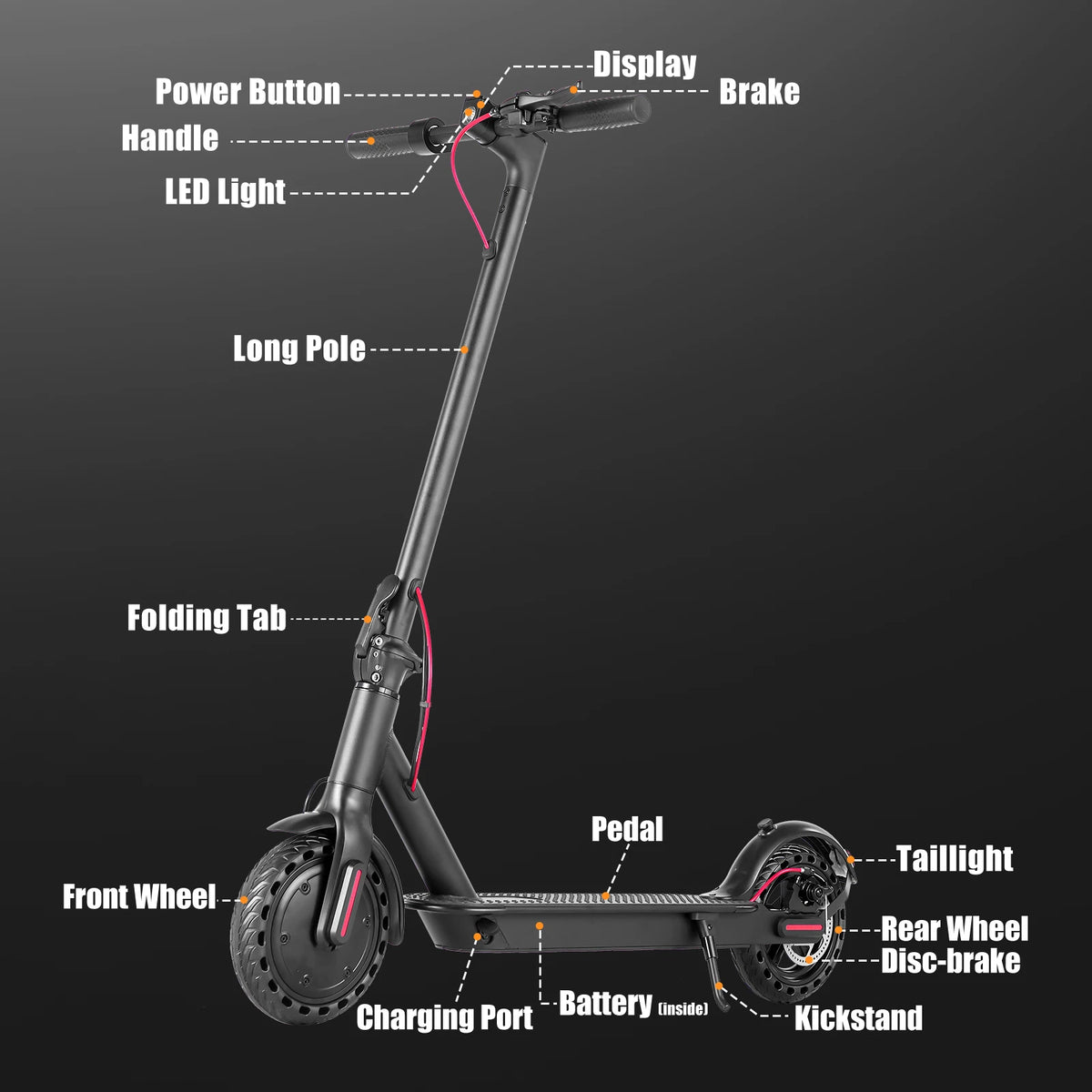 Commuting Electric Scooter 36V High Capacity Battery Long Range 19Mph 350 Motor 8.5Inch Tyres Foldable Escooter
