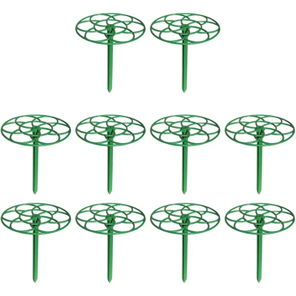 10-Piece Plant Support Grids for Indoor Gardening - Large Flower Cage Stakes for Roses and Home Plants