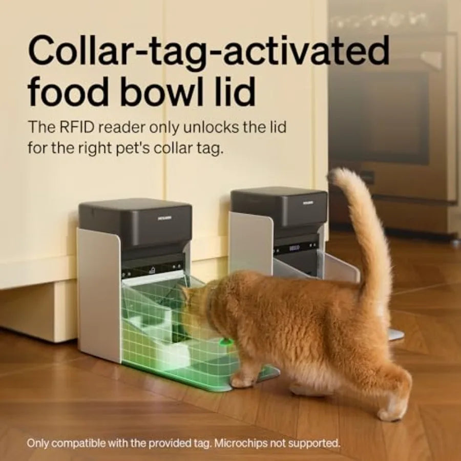 RFID Automatic Cat Feeder Collar Sensor-Activated Personalized Meals for Multi-Pet Homes 5G2.4G Wi-Fi Programmable Food Dispens