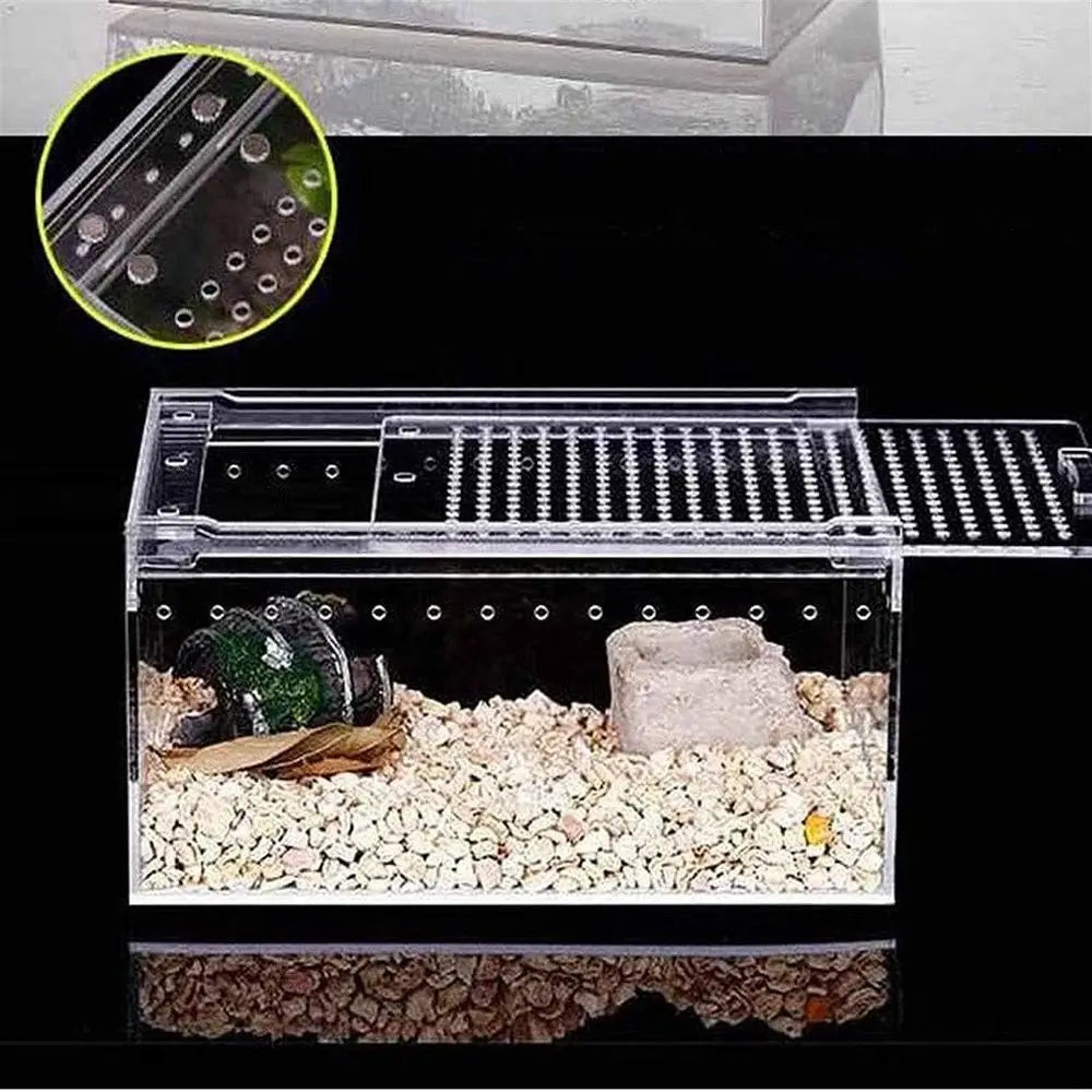 Clear Glass Reptile Habitat, 20x15x10cm for Snakes, Turtles, and Lizards