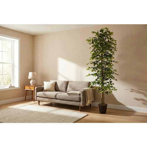 10ft Ficus Tree in Black Plastic Pot - Real Wood Trunk, No Maintenance Indoor Plant - Living Room, Home & Office Decor