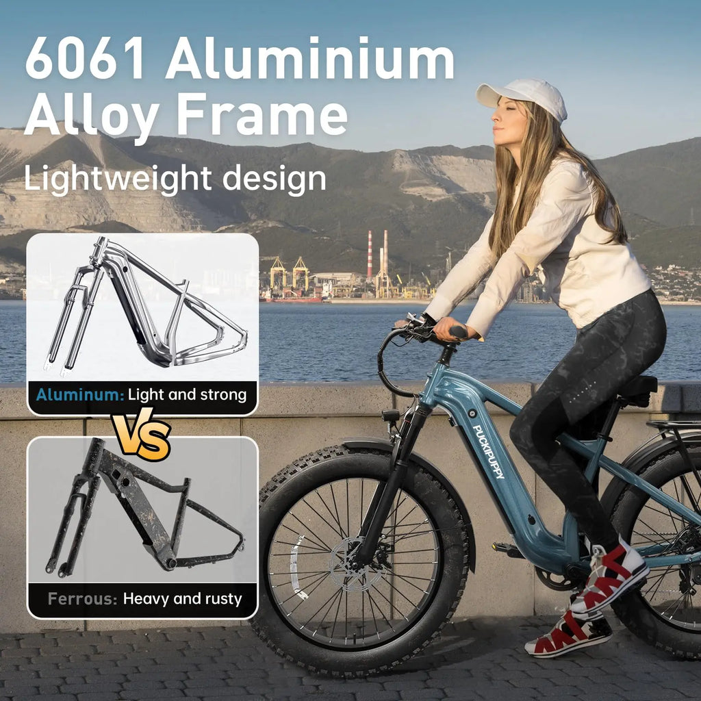 PUCKIPUPPY Beagle II Electric Bike for Adults 960W Peak 48V 15AH Ebike with Luxury Accessory Pack and Extra 15Ah Battery
