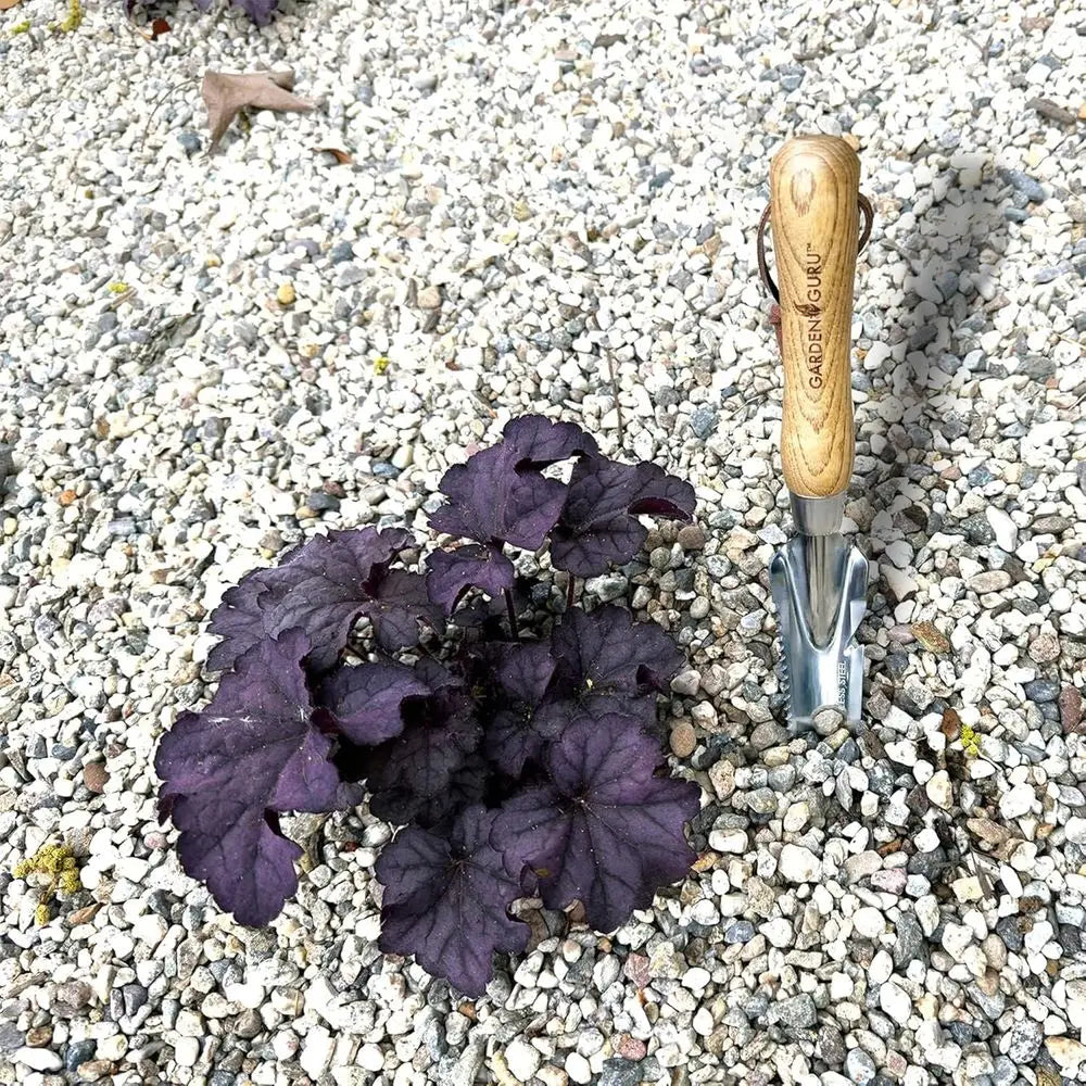 Ergonomic Stainless Steel Hand Weeder Trowel Set - 50 Piece Weeding & Digging Garden Tools