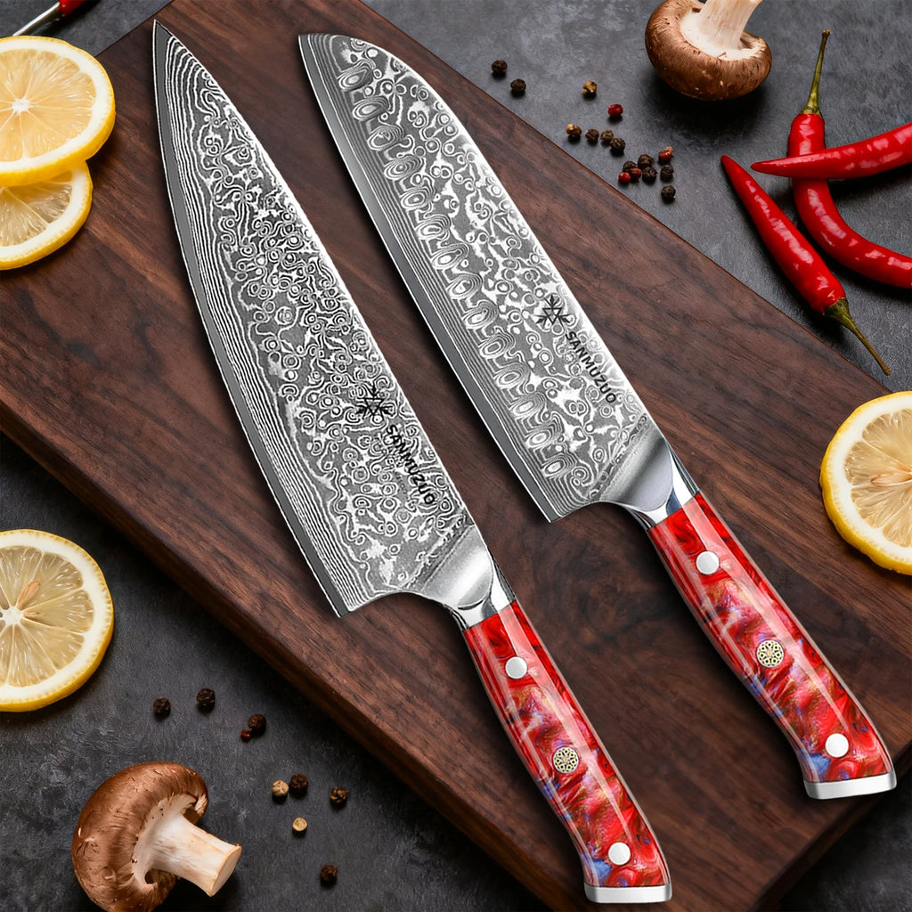 5PCS Kitchen Knife Set - Sharp Damascus Steel Knives with Resin Handle, Chef/Santoku/Bread/Paring/Utility Knife for Home Kitchen