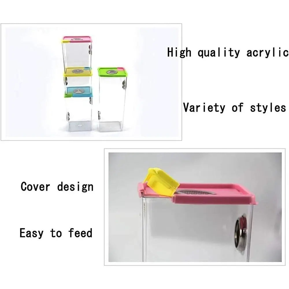 Acrylic Reptile and Amphibian Habitat with Metal Ventilation for Breeding and Living, Colorful Transparent Enclosure