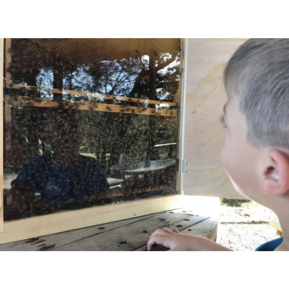 Holds 12 Medium Frames with Double-side Plexi glass doors Fully Assembled FRAMES NOT INCLUDED