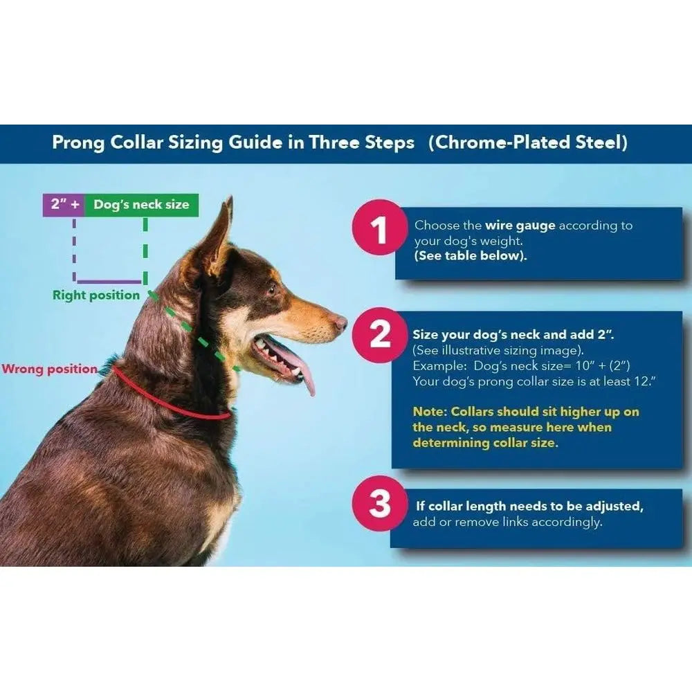 Prong Collar or Dog Training with Easy Quick Release Buckle - German Made Dog Collar with Chrome Plated Steel 4.0mm Prongs for E