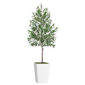 Artificial Olive Tree 7FT with Pot and Moss, Artificial Plants for Home Office Decor