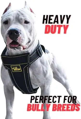 Knock Out Dog Harness for Pitbulls – Strong, Comfortable, Durable Design  
SEO-optimized title: Heavy Duty Dog Harness for Pitbu