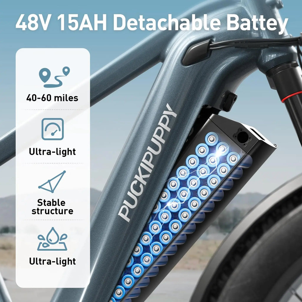 PUCKIPUPPY Beagle II Electric Bike for Adults 960W Peak 48V 15AH Ebike with Luxury Accessory Pack and Extra 15Ah Battery