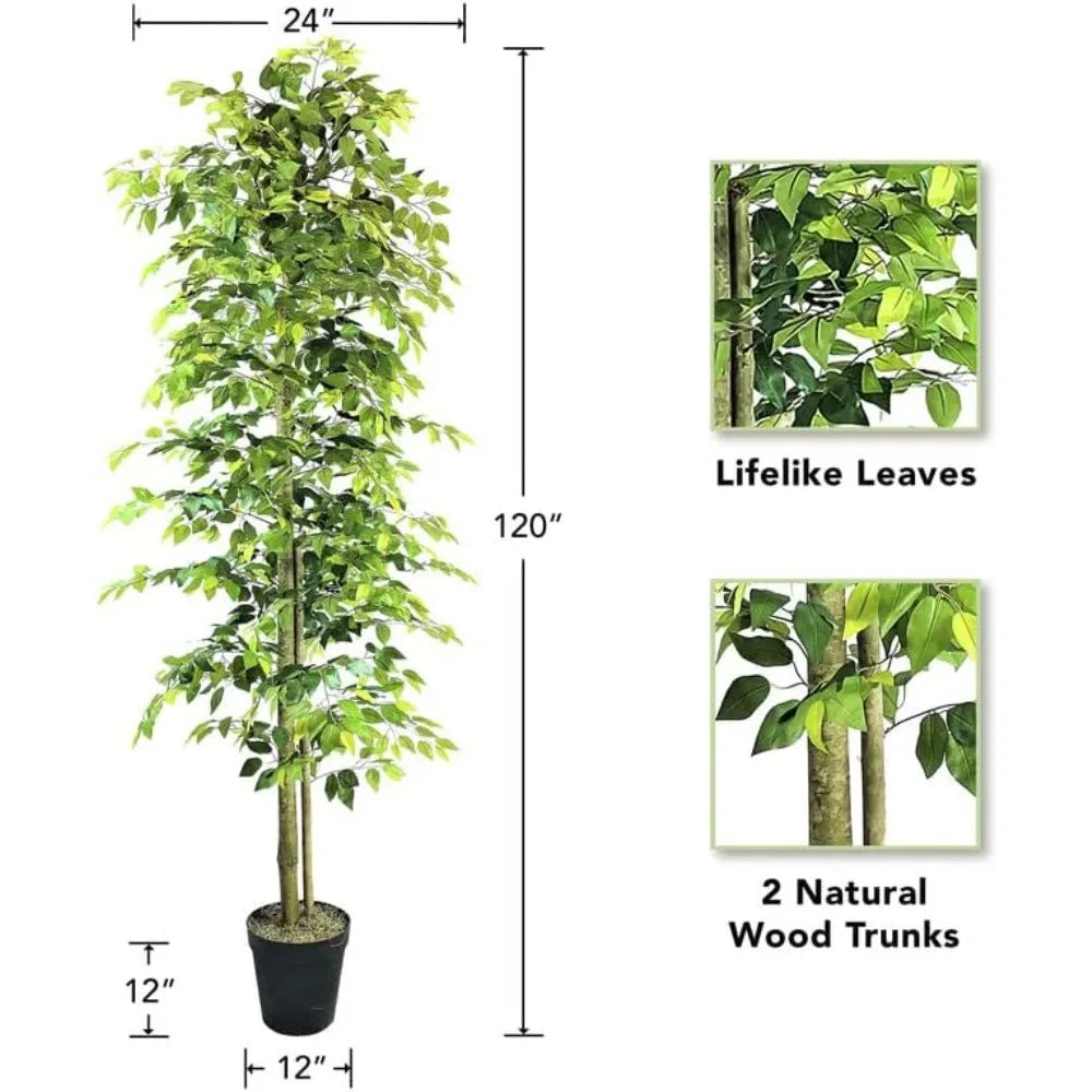 10ft Ficus Tree in Black Plastic Pot - Real Wood Trunk, No Maintenance Indoor Plant - Living Room, Home & Office Decor