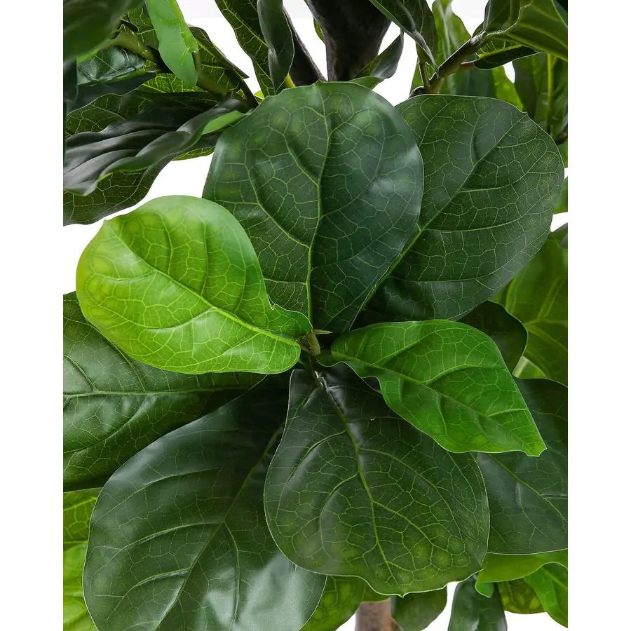 Leaf Fig Tree 6ft Tall Artificial Tree in Plastic Pot Fake Ficus Lyrata Plants with 184 Decorative Fiddle Leaves Faux Fig Trees