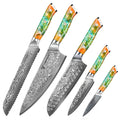 5PCS Kitchen Knife Set - Sharp Damascus Steel Knives with Resin Handle, Chef/Santoku/Bread/Paring/Utility Knife for Home Kitchen