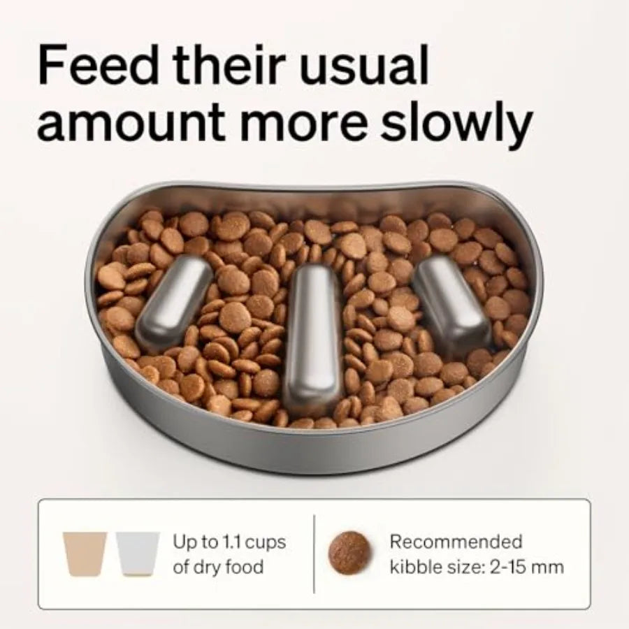 Automatic Cat Feeder with 1080P HD Camera and Night Vision for Small Pets Stainless Steel Slow Feeder Bowl in Silver 1.125 Cup