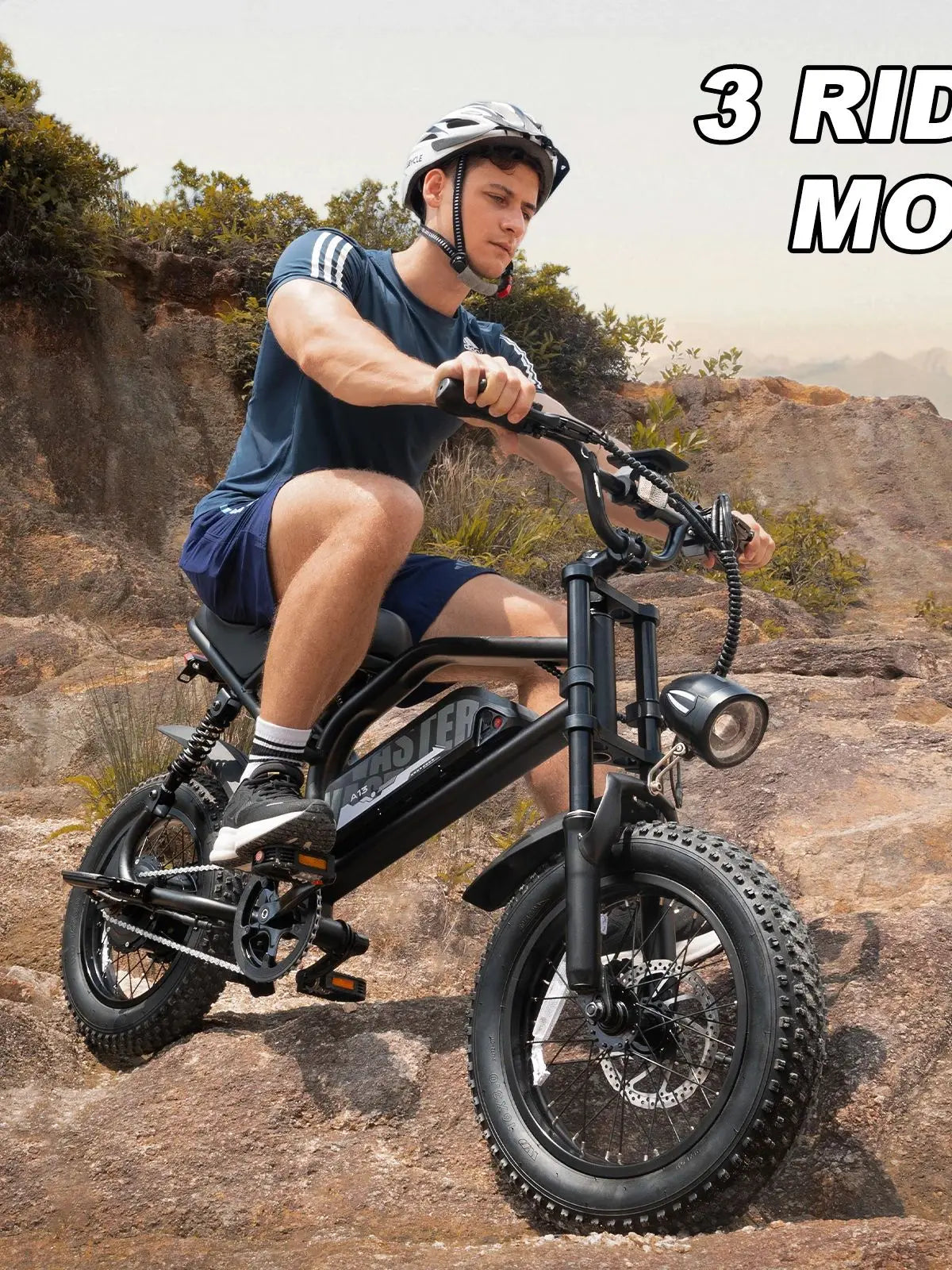 VDL Mountain Electric Bike , 16" Fat Tire Ebike, Wider Seat 800W Peak Motor, Removable Battery, Front Fork Suspension