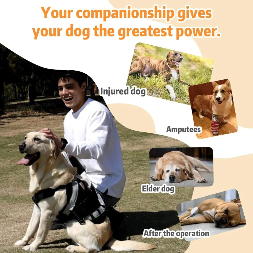 Full Body Support Dog Sling Harness for Large Dogs, Stair Climbing Aid, Back Legs and Joint Injury Assistance