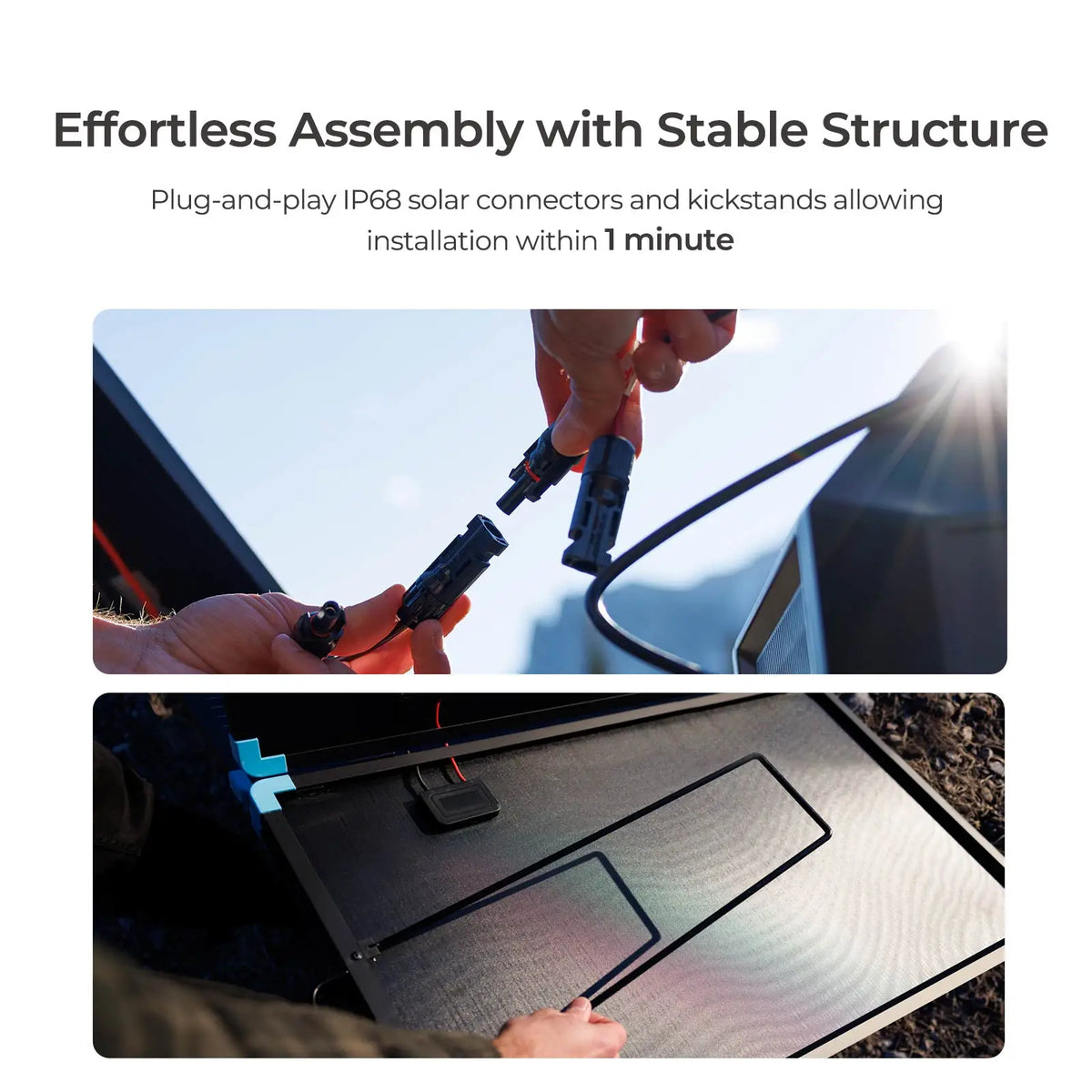 Renogy 220W Foldable Solar Panel Suitcase with 20A Controller, Portable 23% High-Efficiency, for RV Camping Power Station