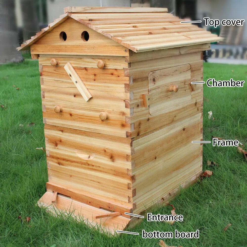 7PCS Auto Shed Honey Hive Beehive Frames + Unique Beehive House Fir Wooden Boxes