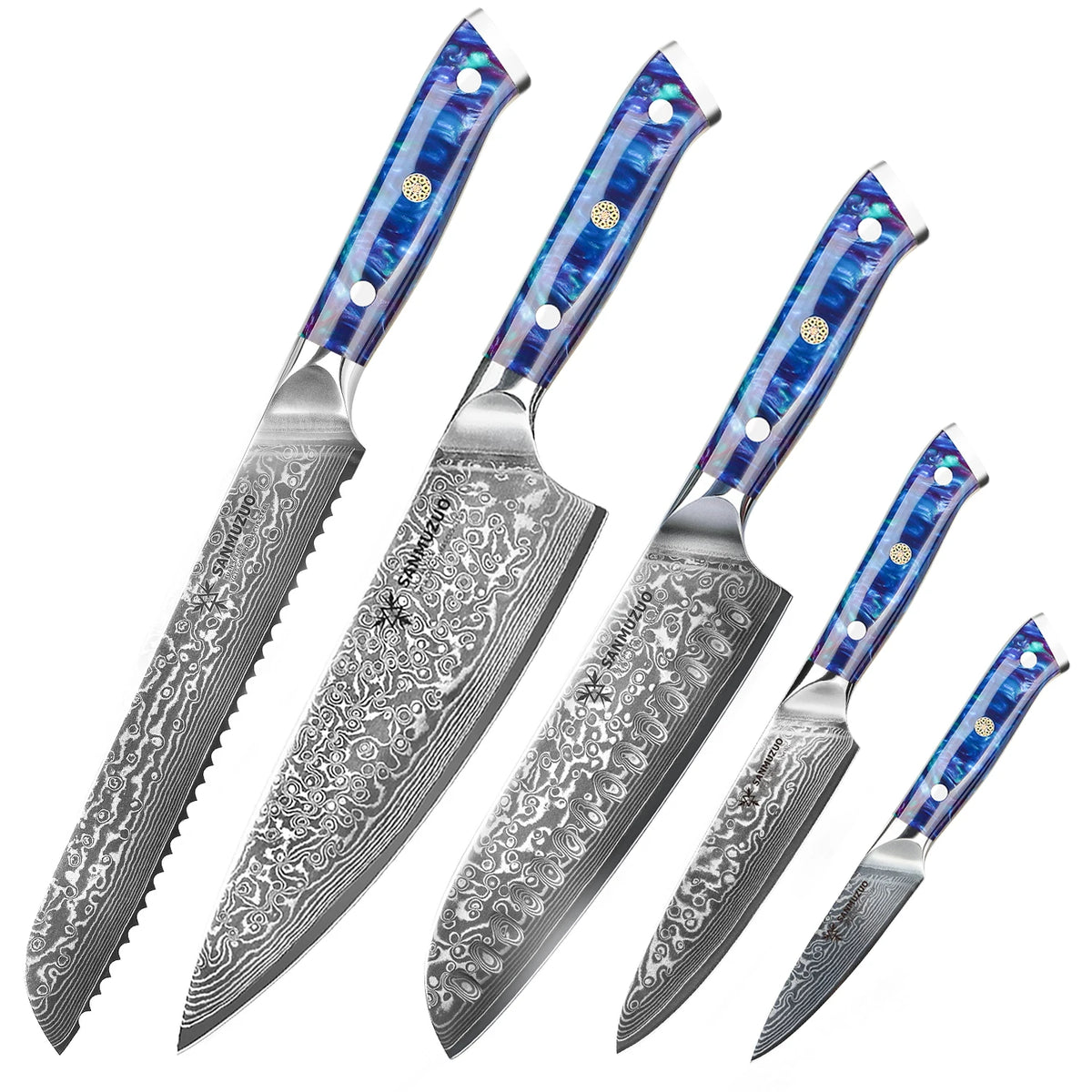 5PCS Kitchen Knife Set - Sharp Damascus Steel Knives with Resin Handle, Chef/Santoku/Bread/Paring/Utility Knife for Home Kitchen
